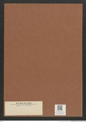 Diatomeae indet. Zeichnungen Sammlung Grunow Mappe 03272 (Herbarium_W_Grunow_drawings_Folder_03272)